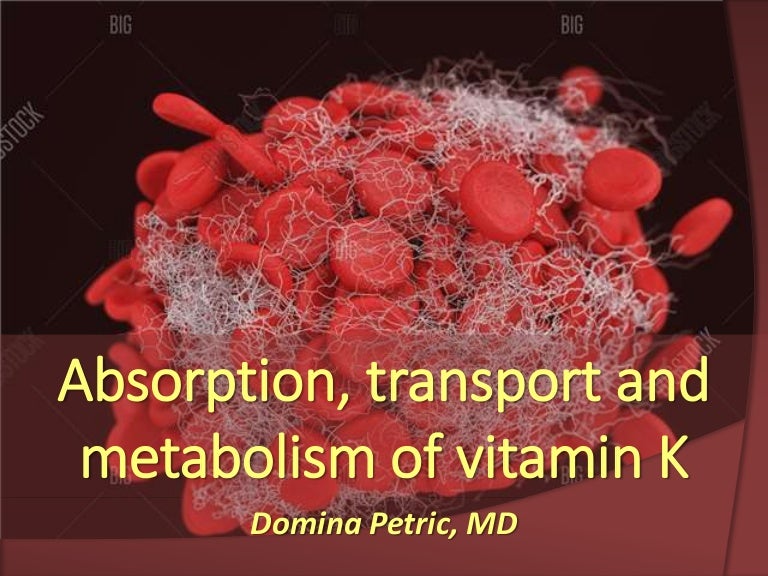Absorption, transport and metabolism of vitamin K