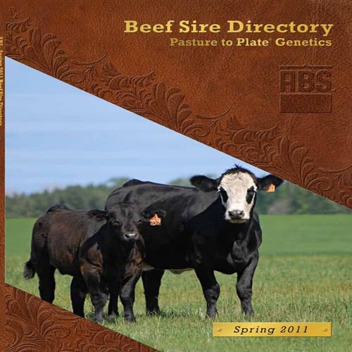 Absspring2011beefsiredirectory