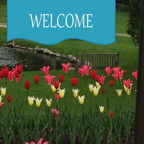 Abstract algebra & its applications