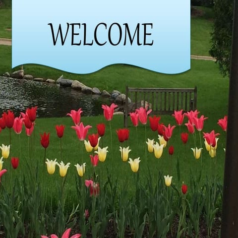 Abstract algebra & its applications (1)