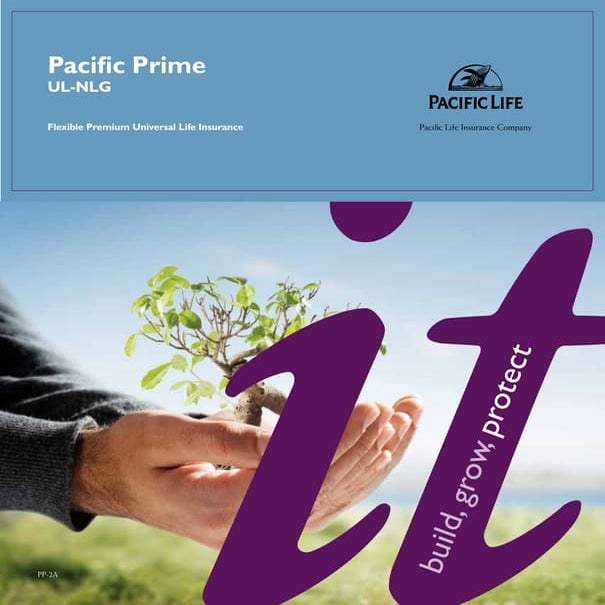 Primerica Life Insurance Company Datasheet | PDF