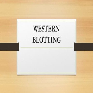 Western Blotting