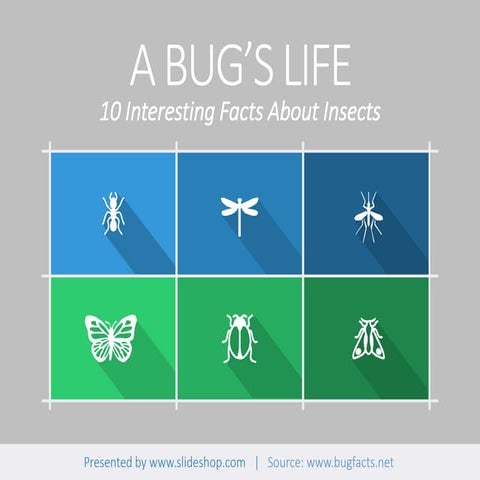 A Bug's Life - 10 Interesting Facts About Insects