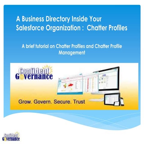 A Business Directory Inside Your Salesforce Organization -  Chatter Profiles