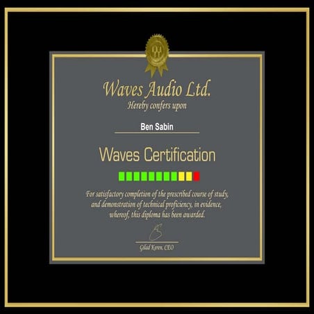 Waves Certification | PDF