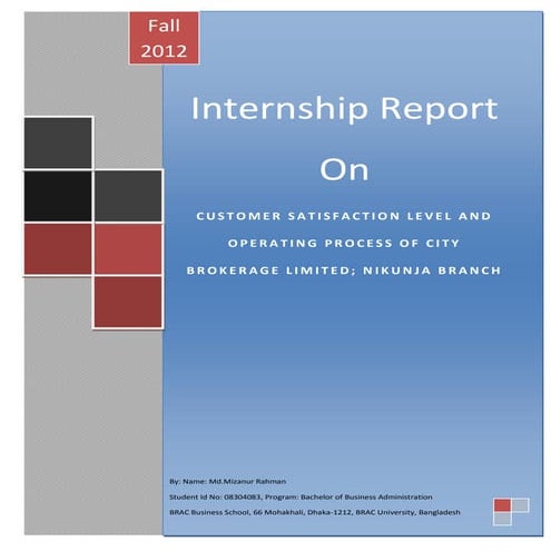 Internship Report by Md. Mizanur Rahman-Id No.08304083