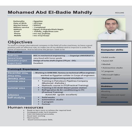 Mohamed  Mahdly CV