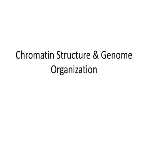 Chromatin Structure & Genome Organization by Shivendra Kumar