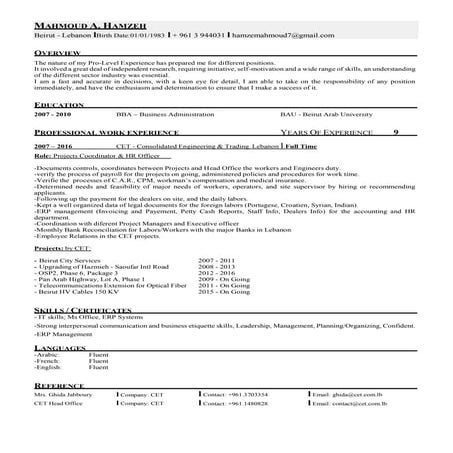 CV-Mahmoud Hamze
