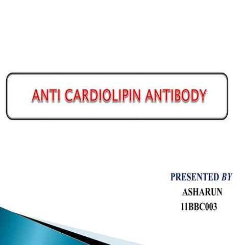 ANTI CARDIOLIPIN ANTIBODY