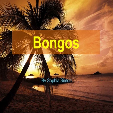 bongos