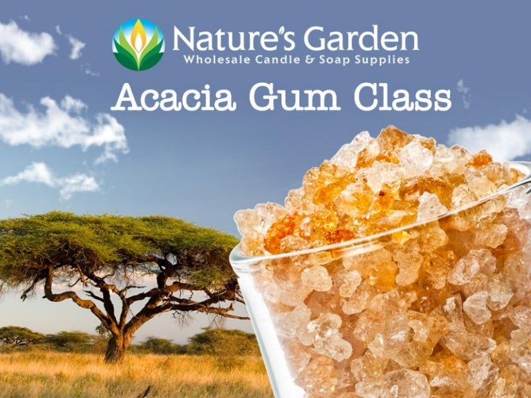 Acacia gumclass