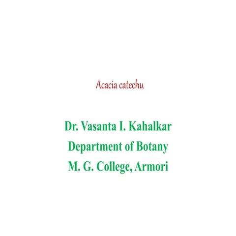 Acacia catechu