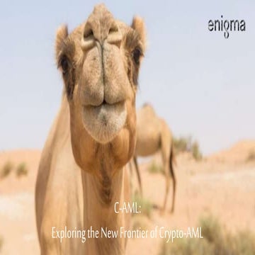 ACAMS NY Chapter Presentation -  C-AML: Exploring the New Frontier of Crypto-AML