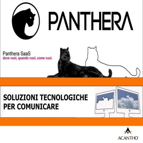 ACANTHO PANTHERA SaaS