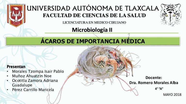 cuales son los parasitos de importancia medica cuales son los parasitos de importancia medica
