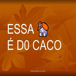 A casa de ca co silmara