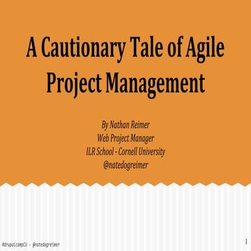 A cautionary tale of agile project management