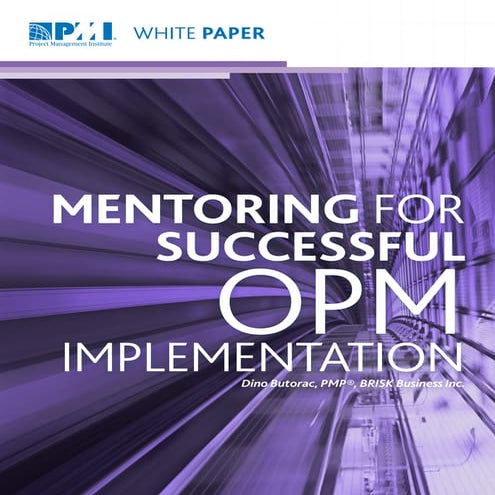 Mentoring for OPM Implementation-final.ashx