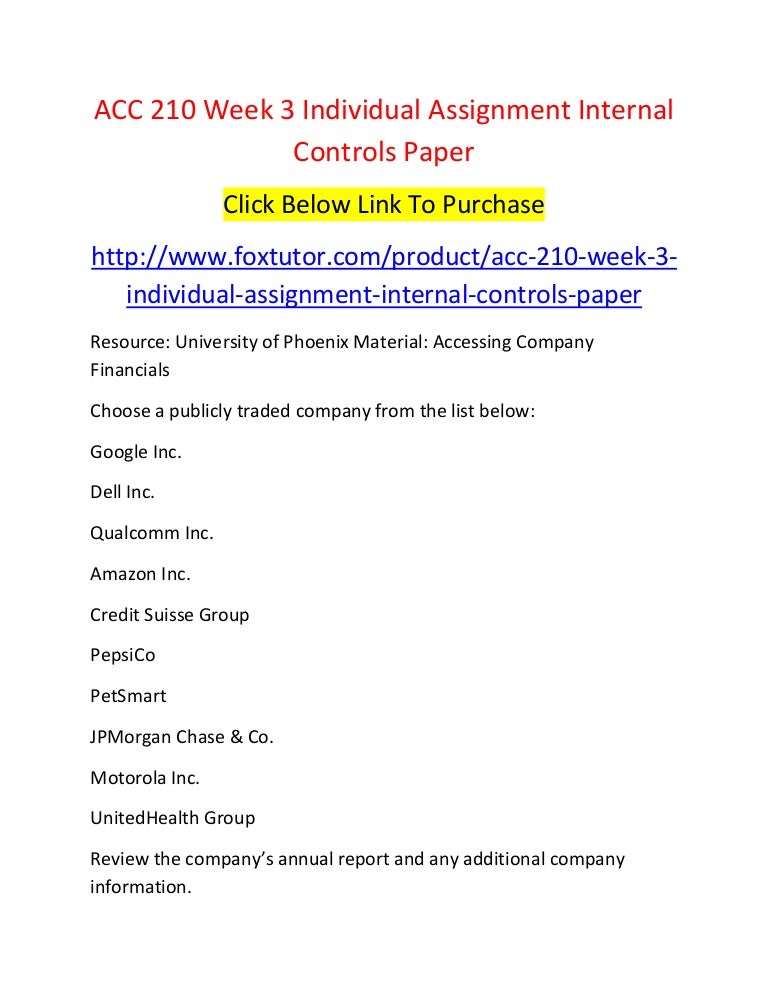 Internal controls essay 08 image