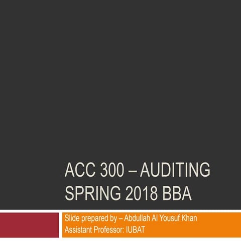 Auditing Chapter 1