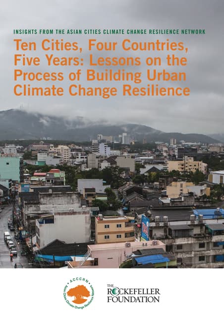 Ten Cities, Four Countries, Five Years: Lessons on the Process of Building Urban Resilience