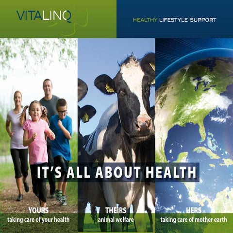 Vdv case study-ventia | PDF
