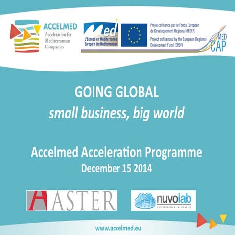 Nuvolab Seminar for Accelmed 2014: Going Global - Small Business Big World