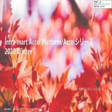 Accel series 2020_winter | PPTX