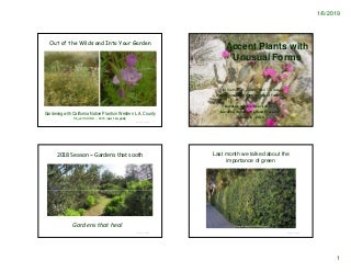 Easy Methods To Be In The Top 10 With Website On Succulents For Sale