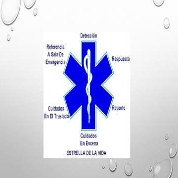 acceso endovenoso.pdf