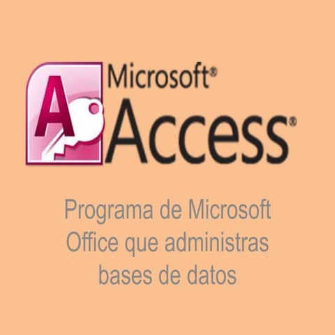 Fichas en access | PPTX