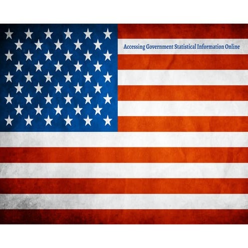 Accessing government statistical information online