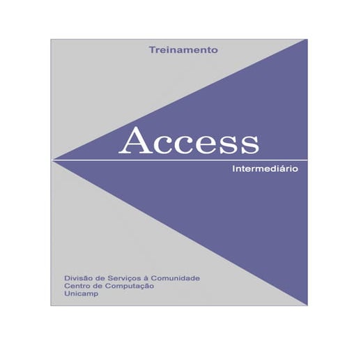 Apostila completa de access | PDF