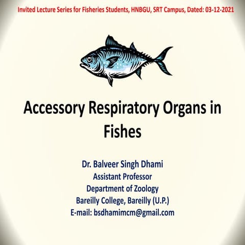 Accessory Respiratory organs in Fishes.pptx
