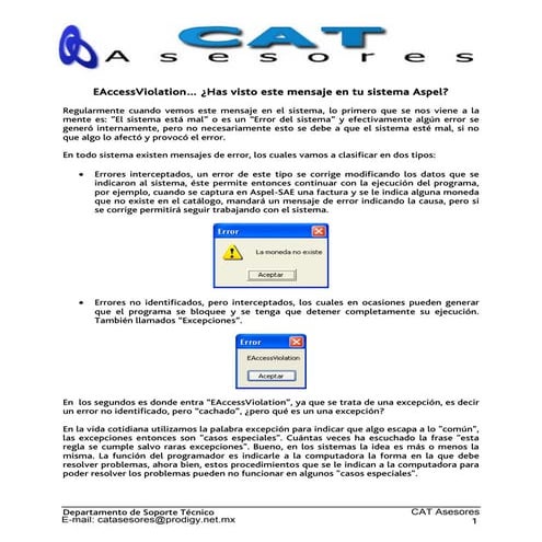 E access violation | PDF