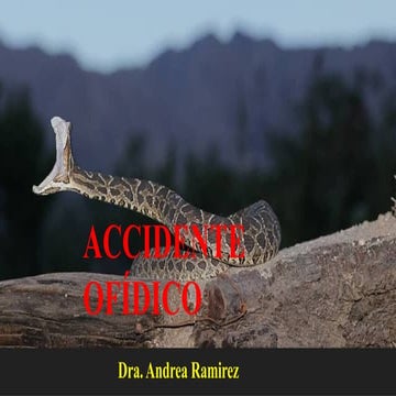Accidente Ofidico 2025.pptxKNLKNLKNLKMNBNKJBNKJNBKJM