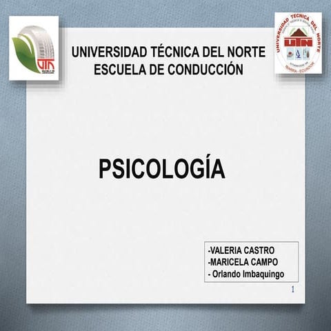 Psicología en conducción