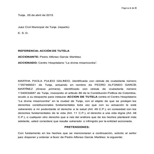 Modelo de acción de tutela | DOC
