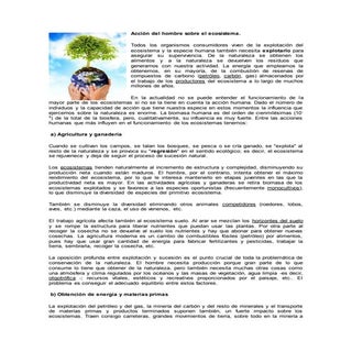 Acción del hombre sobre el ecosistema