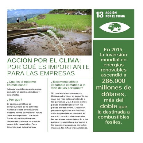 Acción por el Clima