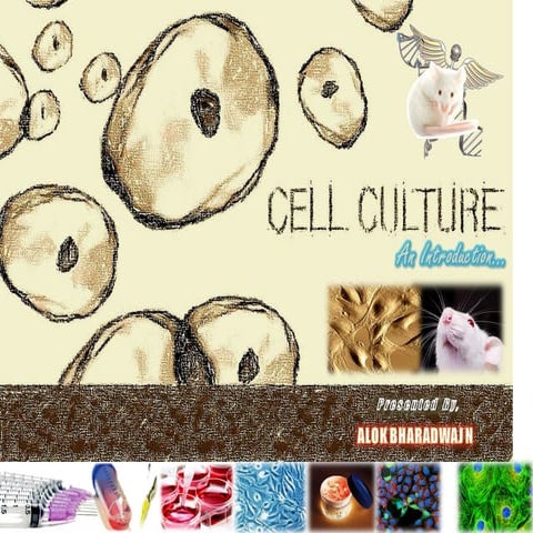 Animal Cell Culture : In a nut-shell