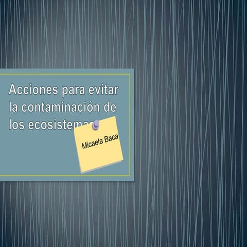 Acciones para evitar la contaminación de los ecosistemas