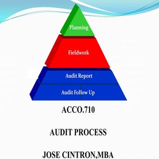 Audit Process, Audit Procedures, Au...