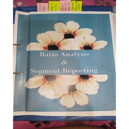 Ratio analysis and segment reporting Accountancy project