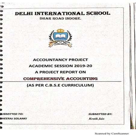 Accountancy project class 11
