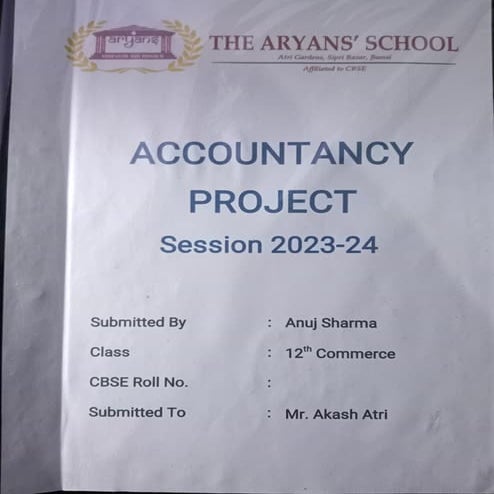 Accountancy Project (Hero Motocorp Ltd).pdf