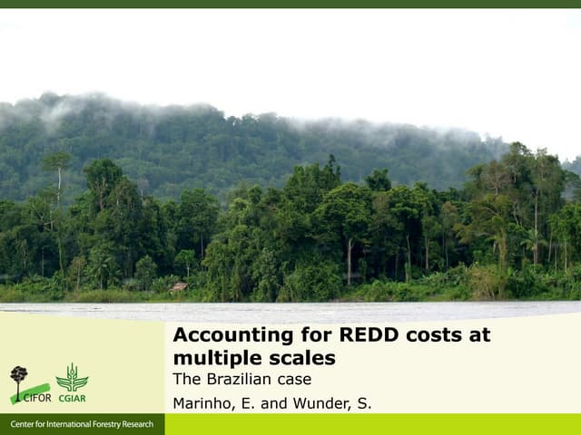 Accounting for REDD+ costs at multiple scales: the Brazilian case