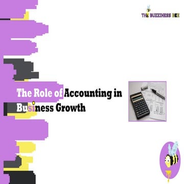 The Role Accounting In Business Growth - The Buzziness Bee