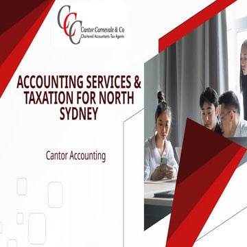 Complete Tax Return and Planning Services to RYDE by Cantor Accounting ...
